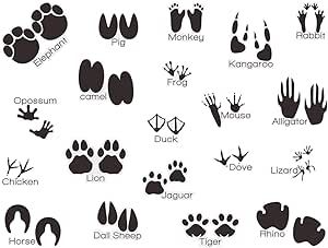 Mozamy Creative Animal Tracks Wall Decals (20 Count) Animal Wall Decals Animal Tracks Wall Decor Playroom Wall Decals Removable Peel and Stick Wall Decals, Black (Animal Tracks 2) Wall Decor Playroom, Playroom Wall Decals, Boy Room Wall Decor, Peel And Stick Wall Decals, Zoo Party, Animal Wall Art Nursery, Animal Wall Decals, Animal Tracks, Silver Background