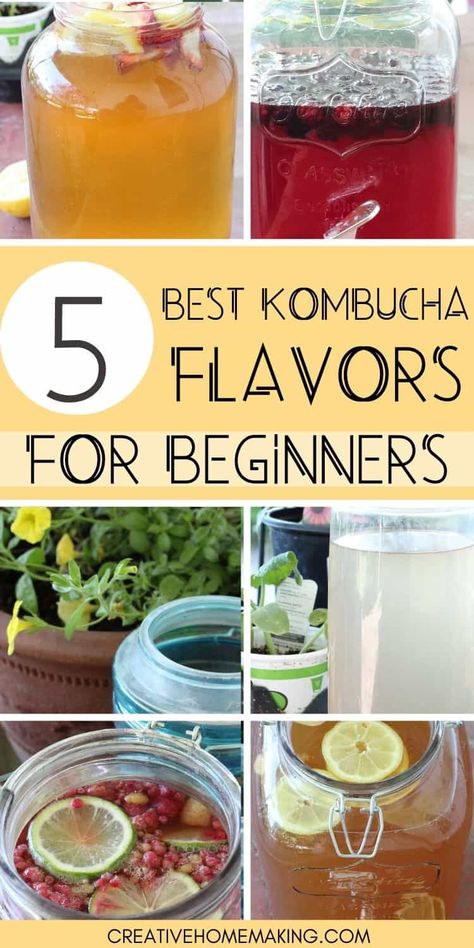 If you're just getting started with making homemade kombucha, these are the best kombucha flavors to try! Essen, Ginger Kombucha Recipe, Kombucha Flavors Recipes, Green Tea Kombucha, Ginger Kombucha, Best Kombucha, Make Your Own Kombucha, Beginners Recipes, Diy Kombucha