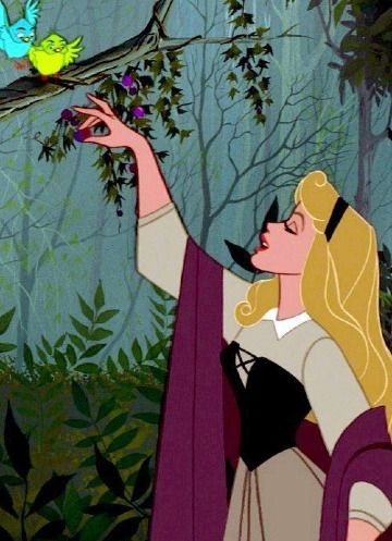 imagenes de la princesa aurora para niñas Disney Viejo, Princesa Disney Aurora, Disney Amor, Aurora Disney, Disney Princess Aurora, Retro Disney, 디즈니 캐릭터, Prințese Disney, Disney Sleeping Beauty