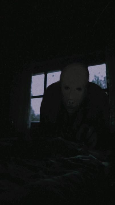 Debra Core Aesthetic, Creepy Vhs Aesthetic, Creepy Stare, Scary Picture, Scary Photos, Scary Images, Creepy Core, Shadow People, Creepy Images