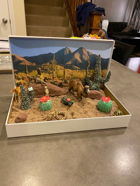 School Project Animal Habitat, Desert Biome Diorama, Biome Box Project, Desert Habitat Diorama, Shoe Box Biome School Projects, Animal Habitats Project, Biome Science Project, Animals Habitat Project, Biome Activities For Kids