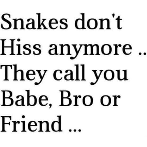 Snakes don't hiss anymore.. they call you babe, bro or friend Dale Carnegie, Humour, Oscar Wilde, Fake Ppl Quotes, Fake Friends Quotes Betrayal, Fake Friend Quotes, Fake People Quotes, Badass Quotes, People Quotes