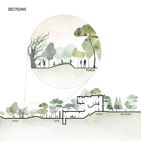 Interesting Sections Architecture, Section Illustration Architecture, Landscape Section Drawing, Architecture Visualization Photoshop, Landscape Section, Landscape Architecture Section, Architecture Section, Landscape Diagram, Photoshop Landscape