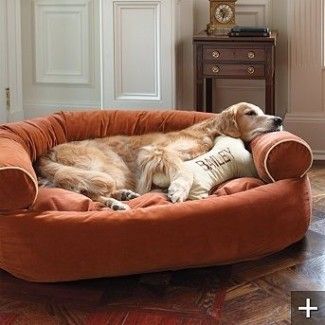 Big Dog Beds, Dog Couch Bed, Dog Couch, Pet Couches, Diy Dog Bed, Dog Furniture, Comfy Couch, Dog Rooms, Dog Sofa