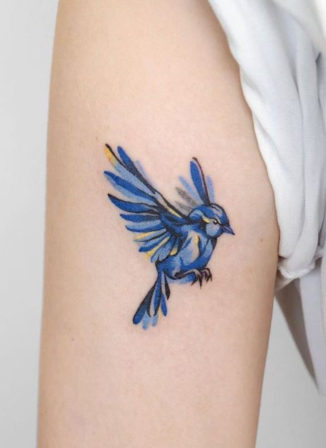 Bird Tattoos For Women Colorful, Dainty Bluebird Tattoo, Mountain Blue Bird Tattoo, Bird Tattoos For Women Color, Rio Bird Tattoo, Beautiful Bird Tattoos For Women, Blue Canary Tattoo, Simple Blue Bird Tattoo, Small Blue Bird Tattoos For Women