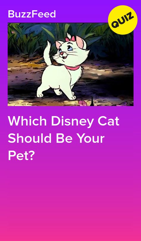 Which Disney Cat Should Be Your Pet? Figaro Cat Disney, Warrior Cats Quiz, Figaro Cat, Princess Pets, Disney Test, Animal Quiz, Disney Quizzes, Buzzfeed Quiz, Cats Playing