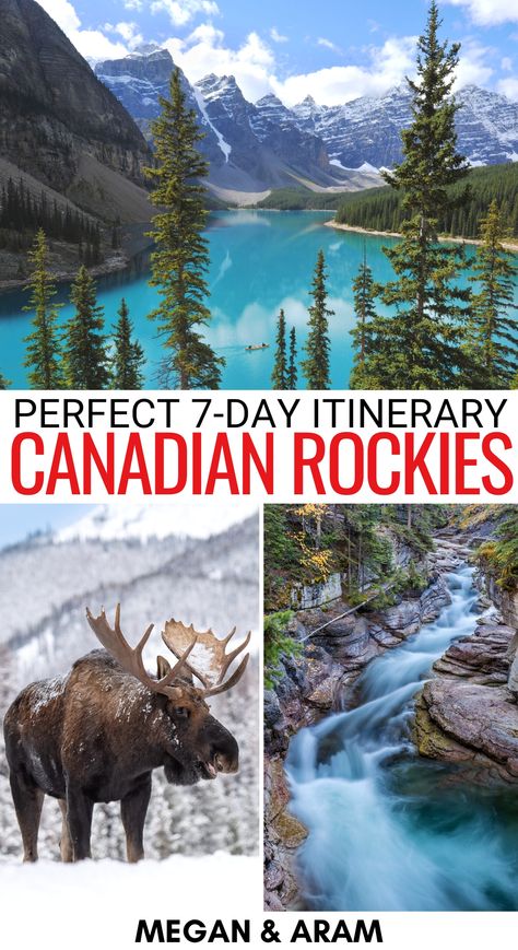 Canadian Rockies Train Trip, Banff Honeymoon, Jasper Itinerary, Banff Activities, Canada Rockies, Banff Trip, Banff Itinerary, Canada Wildlife, Niagara Falls Trip