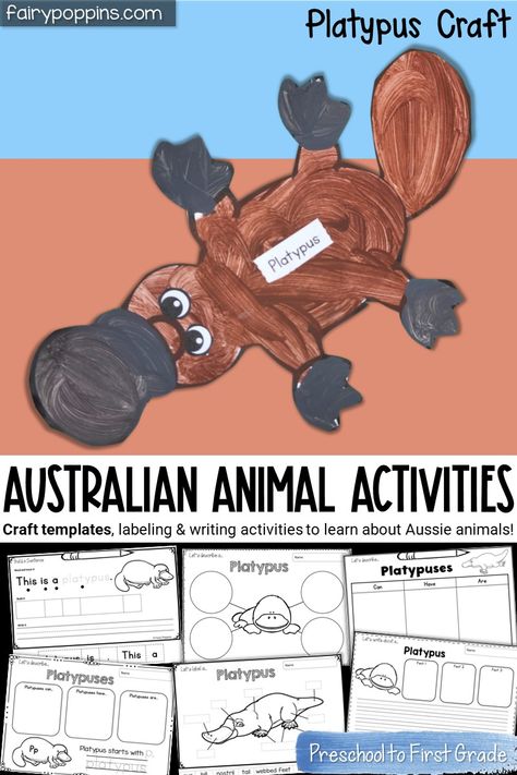 Wombat Craft Preschool, Australian Animals Activities, Wombat Craft, Platypus Craft, Australian Art For Kids, Habitat Activities, Koala Craft, Australia Crafts, Aussie Animals