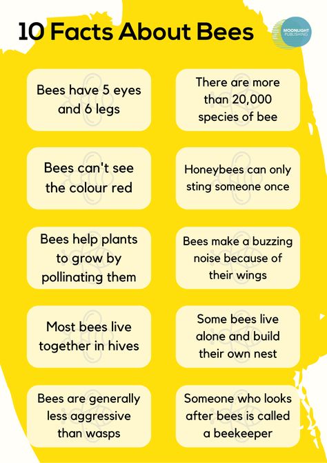 10 Fascinating Bee Facts for Kids | Free PDF - Moonlight Publishing Bee Facts For Kids, Honey Facts, Insects Theme Preschool, Bees For Kids, Honey Bee Facts, Drone Bee, Bee Games, Bee Facts, Bee Themed Classroom