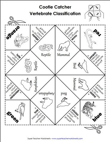 Vertebrate classification cootie catcher for kids Classification Of Living Things Activity, Taxonomy Classification Activities, Classification Of Animals Worksheet, Animal Groups Activities, Animal Classification Activity, Animal Classification Worksheet, Classification Of Animals, Cootie Catcher Template, Classification Of Living Things