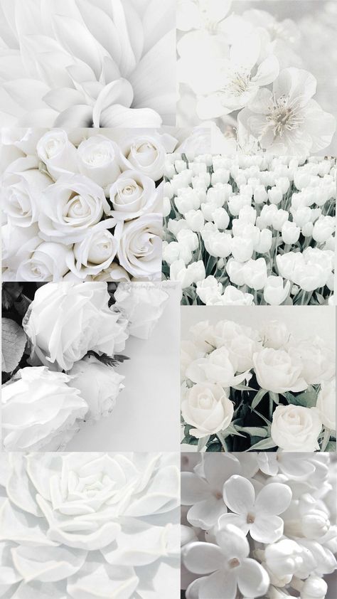 Nature, White Core Wallpaper, White Flowers Aesthetic Wallpaper, White + Core + Aesthetic, Aesthetic White Flowers, Wallpaper White Aesthetic, White Flowers Aesthetic, Flowers Aesthetic Wallpaper, Core Wallpaper