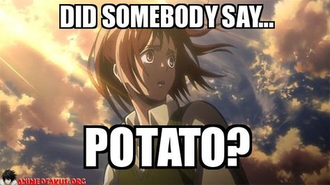 Blue Exorcist, Humour, Sasha Potato, Attack On Titan Sasha, Potato Girl, Sasha Braus, Aot Memes, Facebook Comments, Boy Stuff