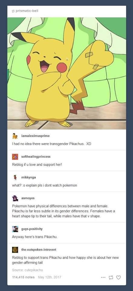 Trans Pikachu, Trans Hunter, Trans Male Art, Genderfluid Art, Pokemon Heart, Ash Baby, Ash And Pikachu, All Out Anime, Lgbt Humor