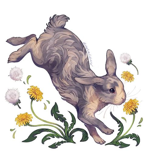 Bunny Pet, Lapin Art, Rabbit Drawing, Rabbit Illustration, Bunny Drawing, Warrior Cats Art, Rabbit Art, Rabbit Cartoon, Bunny Art