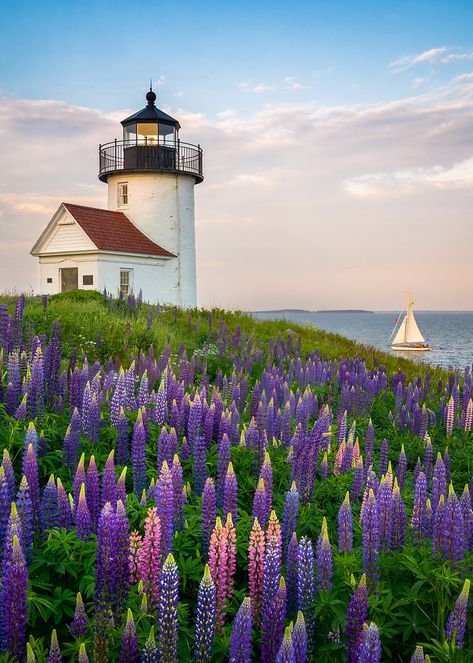 Love, Maine | Coast of Maine Photography by Benjamin Williamson Traditional Landscape, Valparaiso, Maine Photography, Lighthouses Photography, Lighthouse Photos, Lighthouse Pictures, New England States, Maine Coast, Beautiful Lighthouse