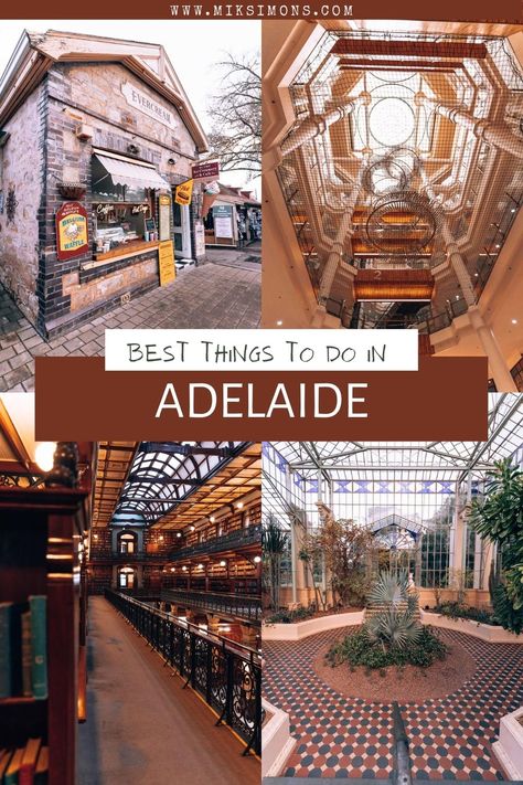 16 amazing Things to do in Adelaide Things To Do Australia, Things To Do In Adelaide, Adelaide Australia City, South Australia Travel, Travel In Australia, Adelaide City, Jacaranda Trees, Sydney Australia Travel, Australia Adelaide