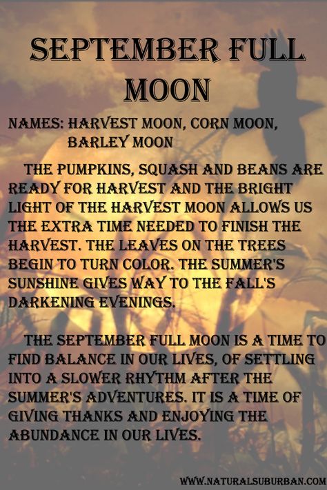 Moon:  #Full #Moon ~ September....( Check )                              … Full Moon Meaning, Full Moon Names, Corn Moon, Moon Names, Moon Meaning, You Are My Moon, Full Moon Ritual, Harvest Moon, Moon Magic