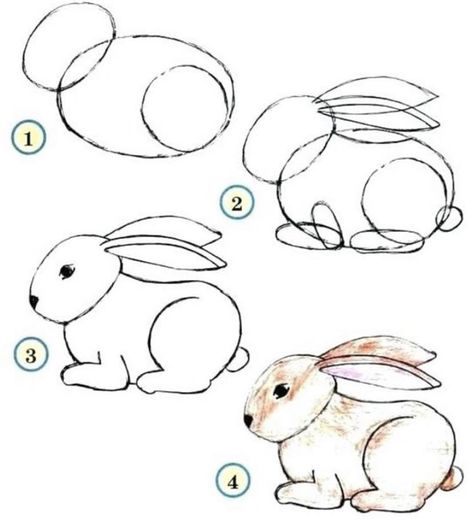 Choose Marker - How to draw Rabbit step by step🐇 Easy Bunny Drawing, Draw A Rabbit, Drawing Bunny, Bunny Drawings, Trin For Trin Tegning, Easy Animal Drawings, Rabbit Drawing, Easy Drawing Steps, Cartoon Drawings Of Animals