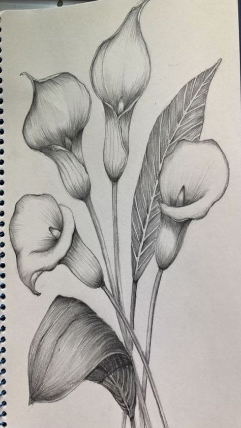 Croquis, Shading Pictures To Draw, Art Sketches Of Flowers, Flower Pencil Drawings Sketches, Flower Sketches Pencil Shading, Flower Shading Drawing, Pencil Flower Drawings, Nature Drawing Sketch, Flower Drawing Pencil