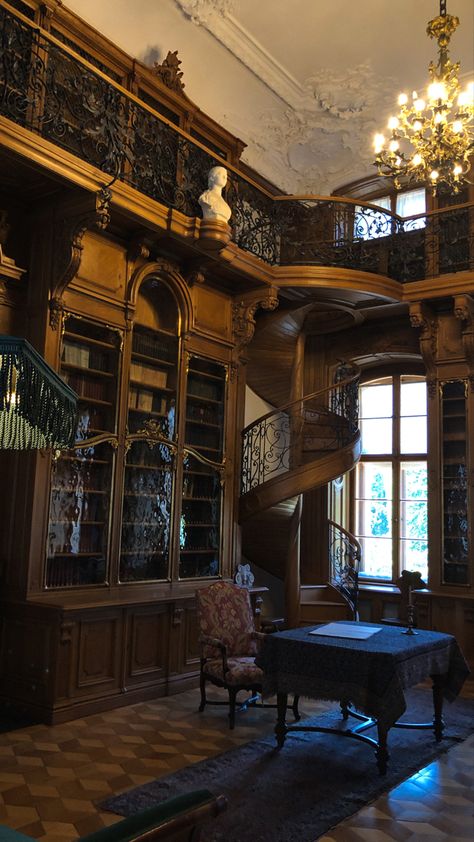 Home Old Money Aesthetic, Home Dark Academia Library, Old Academia House, Old Money Home Library, Old Money House Dark Academia, Dark Office Aesthetic Vintage, Dark Old House Aesthetic, Dark Academia Townhouse, Dark Academia China Cabinet