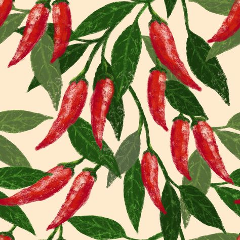 Book Cover Design, Chilli Illustration, Chilli Pepper, Illustration Graphic, Illustration Graphic Design, Cayenne, Surface Pattern Design, Repeating Patterns, Packaging Design