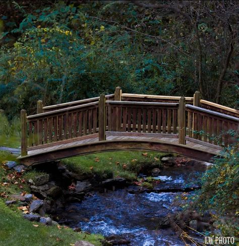 Nature, Beautiful Bridges Photography, Nature Photography River, River Landscape Photography, River Bridge Aesthetic, Bridges Aesthetic, Lake With Bridge, River Reference, Reference Photos Landscape