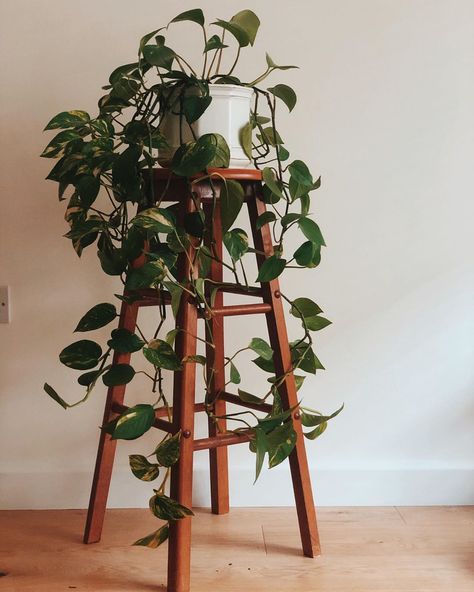 Aesthetic Study Desk, Plant Stand Decor, Stool Plant Stand, Girly Apartments, Corner Plant, Girly Apartment Decor, Plant Mama, Vintage Bar Stools, Modern Plant Stand