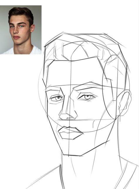 Face structure sketch#portraitdrawings #artinspiration #pencildrawings #realisticart Face Structure Sketch, Head Guidelines, Portrait Proportions, Face Structure Drawing, Structure Sketch, Face Proportions Drawing, Portrait Palette, Loomis Method, Sketch Head