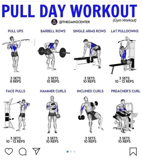 Push Pull Workout Routine, Push Pull Legs Workout, Pull Day Workout, Push Pull Workout, Pull Day, Back And Bicep Workout, Workout Gym Routine, Workout Program Gym, Push Workout