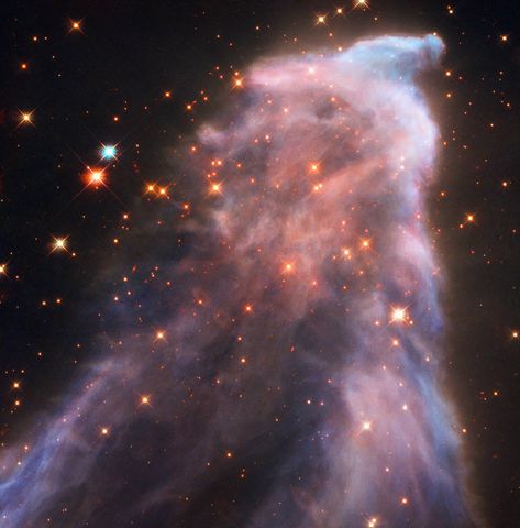 Hubble Images, Ghost Nebula, Nasa Hubble Images, Astronomy Photography, Hubble Space Telescope Images, Nasa Wallpaper, Nebula Wallpaper, Nasa Hubble, Helix Nebula