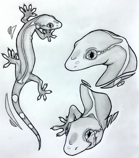 Lizard Pencil Drawing, Lizard Sketch Simple, Lizard Reference Drawing, Goanna Lizard Drawing, Lizard Head Drawing, Gecko Drawing Reference, Reptile Drawing Reference, Lizard Line Art, Geko Lizard Drawing