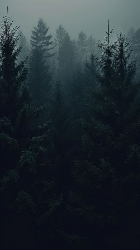 Dark aesthetic forest wallpaper outdoors woodland nature. | premium image by rawpixel.com / Hein Nature, Dark Forest Aesthetic Wallpaper, Forest Wallpaper Desktop, Dark Aesthetic Forest, Aesthetic Forest Wallpaper, Forest Wallpaper Aesthetic, Dark Forest Background, Wallpaper Outdoors, Dark Forest Wallpaper