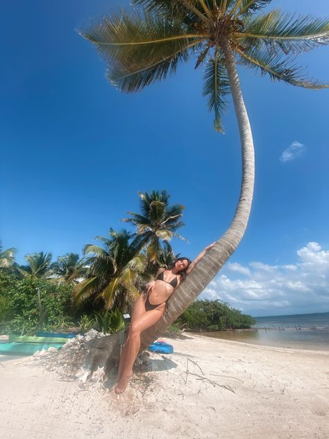 Girl laying on tree in bikini on the beach Belize Photo Ideas, Vacation Posing Ideas, Thailand Vacation Photos, Beach Photos Outfit Ideas, Luau Pictures, Punta Cana Pictures Photo Ideas, Resort Photo Ideas, Vacation Photoshoot Ideas, Vacation Couple Pictures
