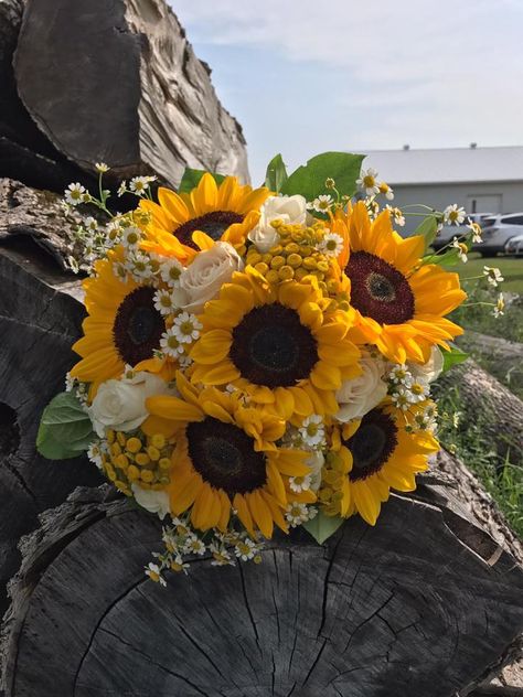 Clutch bouquet of sunflowers white roses and feverfew Sunflower And Babysbreath Bouquet, Sunflower Roses Daisy Bouquet, Sunflower Rose Daisy Bouquet, Sunflower White Roses Bouquet, Sunflowers White Roses, Sunflowers And Daisies Bouquet, White Rose And Sunflower Bouquet, White Roses With Sunflowers, Daisy Sunflower Bouquet