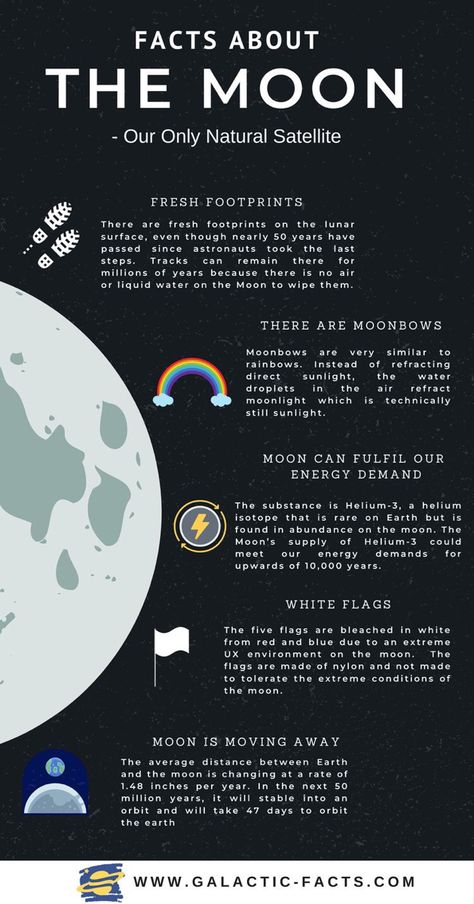 Facts About Moon, Facts About The Moon, Neptune Facts, Solar System Facts, Moon Facts, Moon Rings, About Moon, Sistem Solar, Astronomy Facts