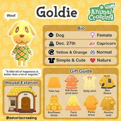Hello from Astoria✨ on Instagram: "Here is Goldie’s bio🐶💛 Do you have Goldie on your island? . If you missed my story, I decided that the first 5 people to comment on my recent YT video would get a villager bio of their choice 🌟 The third person that commented wanted Goldie so here she is✨ #villagersbyastoria Check out these lovely people👯‍♀️ 🐰 @crossing.stardewisland 💖 @nikolenook" Goldie Acnh, Dolly Shirt, Future Islands, Character Bio, Poncho Dress, Animal Crossing Guide, Animal Crossing Characters, Island Theme, Animal Crossing Villagers