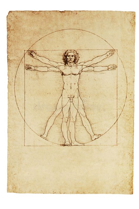 Vitruvian Man Tattoo, Da Vinci Vitruvian Man, Simbolos Tattoo, Scale And Proportion, Vitruvian Man, Art Classique, Famous Art, Anatomy Art, Famous Artists