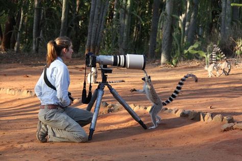 Wildlife Photographer Outfit, Wildlife Researcher Aesthetic, Wildlife Biologist Career, Nature Photographer Aesthetic, Wildlife Photographer Aesthetic, Photographer Job Aesthetic, Wild Life Photography Nature, Wildlife Conservation Aesthetic, Wildlife Biologist Aesthetic