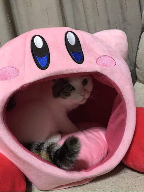 Kirby Cat Bed, Cute Cat Things To Buy, Cat Set Up, Dorm Cat, Cat Kirby, Cat Things, Video Game Room Design, Cute Bedroom Decor, Game Room Design