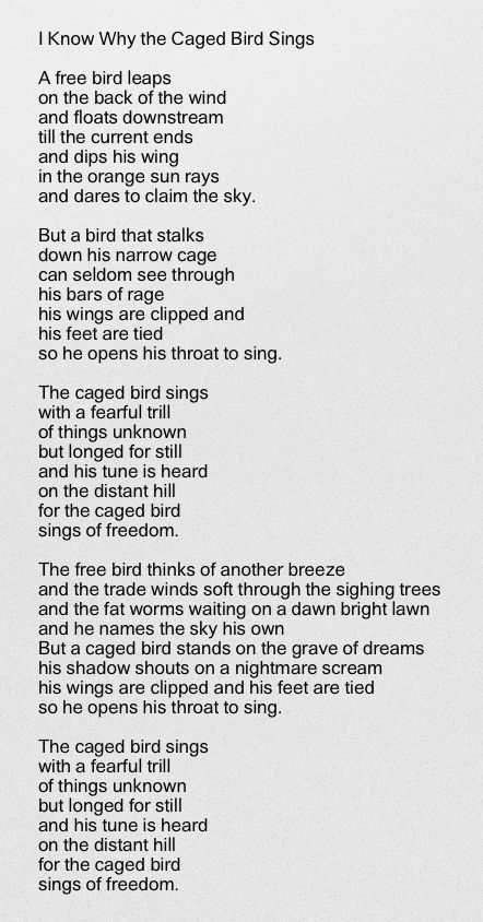 I Know Why the Caged Bird Sings - Maya Angelou. Maya's tribulations contribute to her wisdom. Such a good book written from the views & voice of young Maya. Maya Angelou Poems Strength, Bird Signs, Maya Angelou Poems, Why The Caged Bird Sings, Maya Angelo, Caged Bird Sings, The Caged Bird, Favorite Poems, Warsan Shire