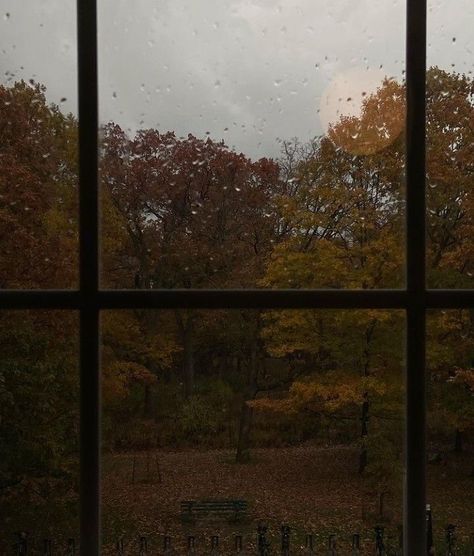 Merry Moss — Autumn leaves are falling, filling up the streets;... Nature, Rain Lights, Autumn Rain, Late Autumn, Dark Autumn, Instagram Autumn, Gloomy Day, Fall Is Here, Autumn Cozy