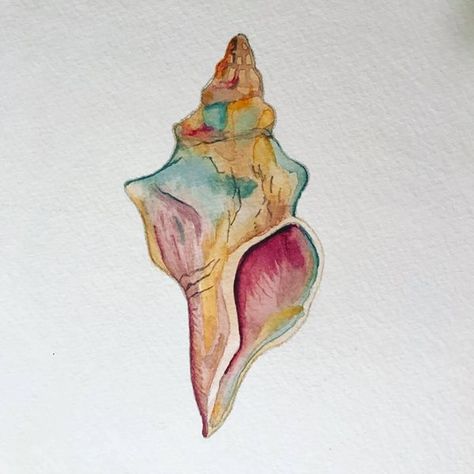 conch shell watercolor Shell Drawing Watercolor, Seashells Watercolor Painting, Conch Shell Sketch, Watercolor Conch Shell, Mermaid Box Diy, How To Draw A Conch Shell, Conch Shell Watercolor, Watercolour Shell Painting, Sea Shell Watercolor Paintings