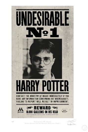 Graphic art inspired by Harry Potter Harry Potter Frame, Harry Potter Wanted Poster, Undesirable No 1, Poster Harry Potter, Harry Potter Store, Posters Decor, Rowling Harry Potter, Frame Store, Ministry Of Magic