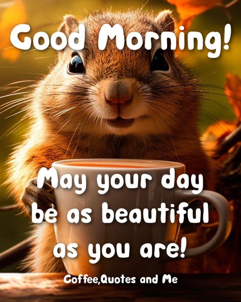 May your day be as beautiful as you are! Good Morning morning good morning good morning quotes good morning sayings good morning images morning nights days good morning wishes good morning greetings good morning wishes images Tumblr, Cute Good Morning Gif, Good Morning Animals, Happy Day Quotes, Good Morning Funny Pictures, Good Morning Sunshine Quotes, Happy Morning Quotes, Funny Good Morning Quotes, Slaap Lekker