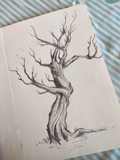 Shaded Tree Drawing, Tree Drawings Pencil Simple, Pencil Art Drawings Trees, Drawing Trees Pencil Sketch, 3d Tree Drawing, Sketch Of Nature Pencil, Tree Study Drawing, Large Tree Drawing, Leafless Tree Drawing