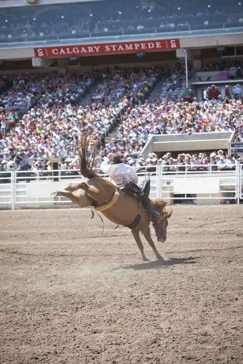 Nfr Las Vegas, Things To Do In Calgary, Calgary Tower, Canada Summer, Vision Board Images, Calgary Stampede, Country Summer, Celebration Around The World, Medicine Hat