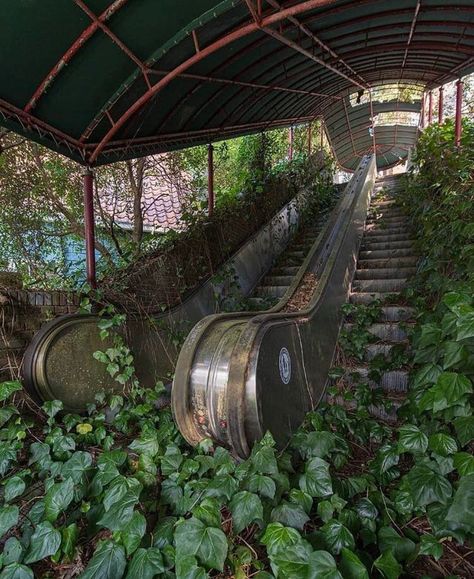 20 Places Being Swallowed By Time - Ftw Gallery Unsettling Images, Apocalypse Landscape, Deserted Places, Dystopian Aesthetic, Apocalypse Aesthetic, Abandoned Buildings, Jolie Photo, Aesthetic Images, Nature Aesthetic