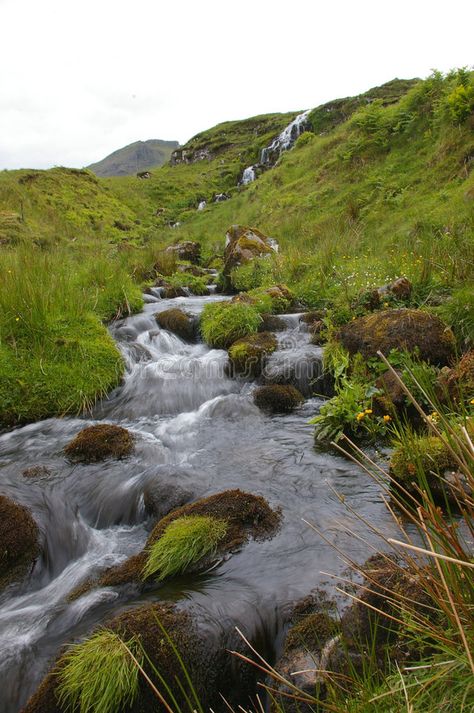 Nature, Mountain Meadow Aesthetic, Moorland Aesthetic, Aesthetic Meadow, Stream Aesthetic, Stream Nature, Mountain Streams, Calming Nature, Biblical Paintings