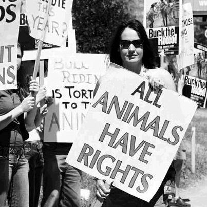 All about the history of animal rights and agriculture Animal Activism, Animal Activist, Animal Liberation, Animal Rights Activist, Stop Animal Cruelty, Vegan Animals, Pride Parade, Animal Welfare, Animal Rights