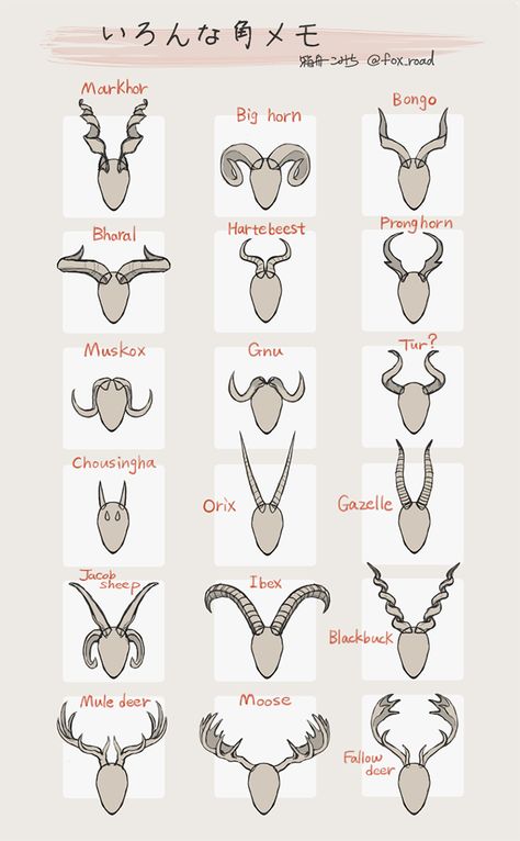 horn references by @fox_road on twitter Horns On Head Reference, Horn Designs Art, Horn Anatomy, Horned Male Character Design, Horned Character Design Male, Horn Character Design, How To Draw Horns, Character Horns, Horned Character Design